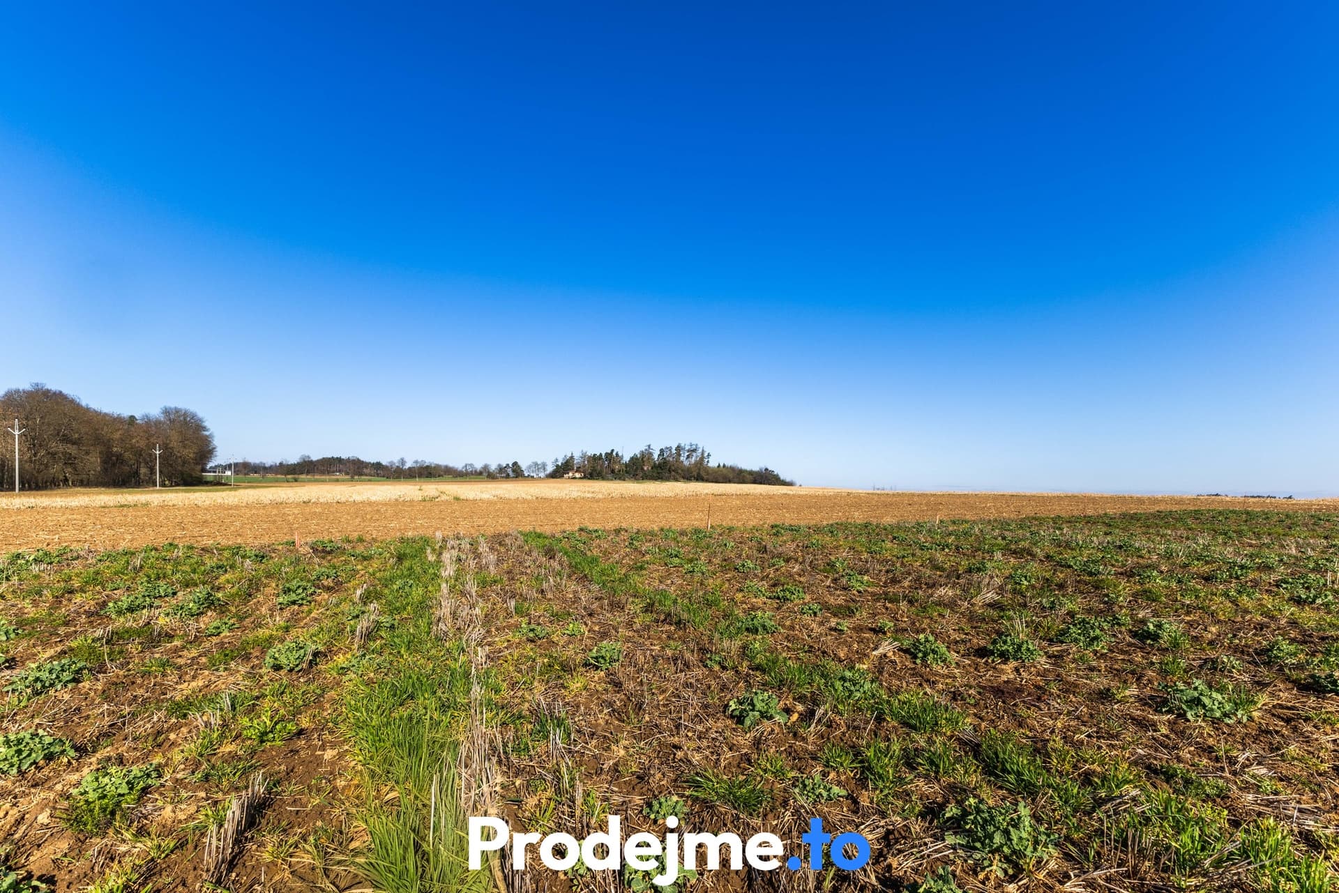Prodej pozemku 1 118 m2 - Budišov