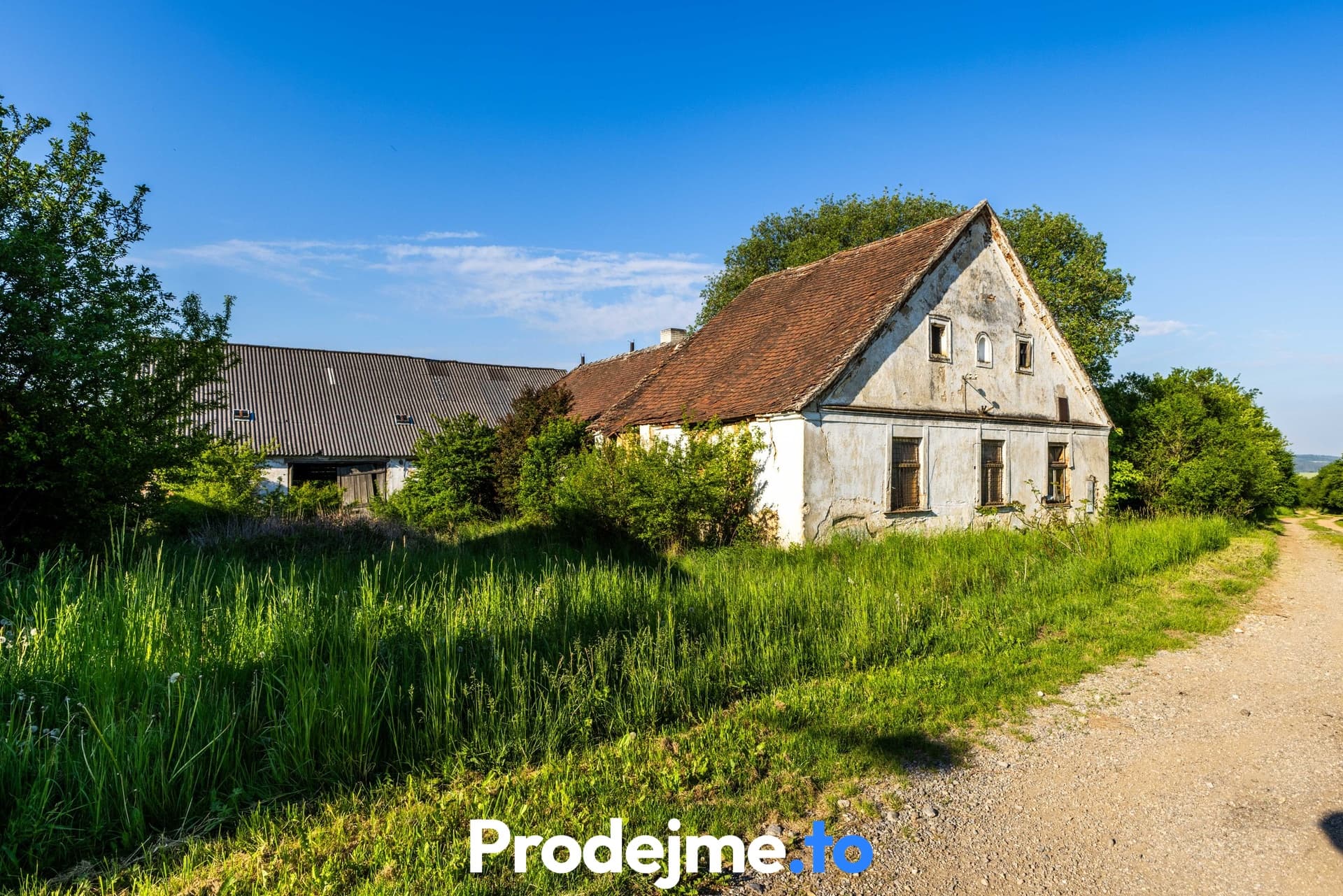 Prodej pozemku 16 909 m2 - Marketa (Písečné)