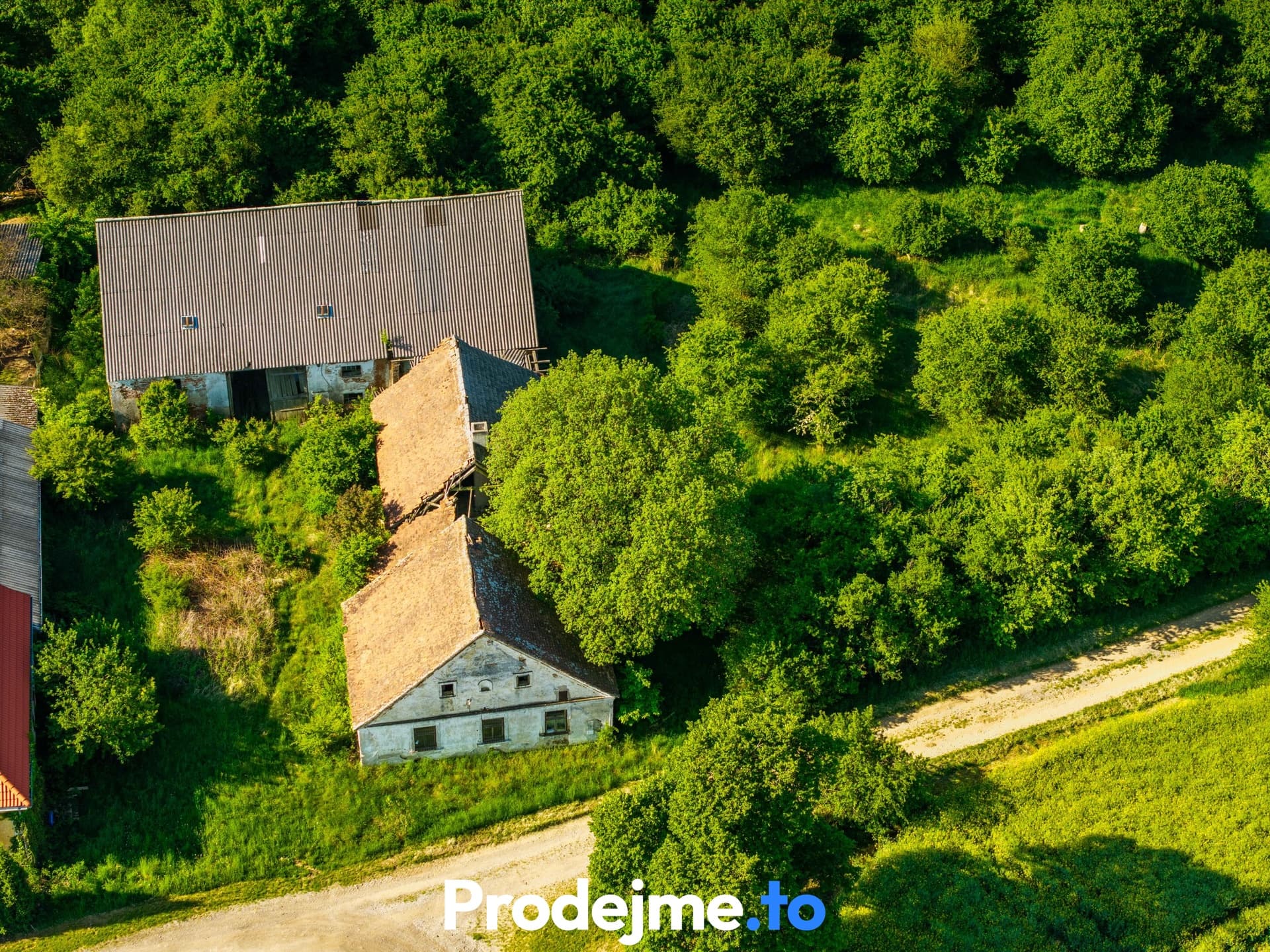 Prodej pozemku 16 909 m2 - Marketa (Písečné)