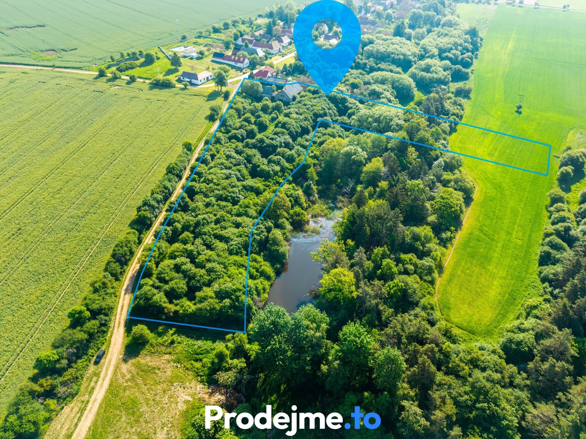 Prodej pozemku 16 909 m2 - Marketa (Písečné)
