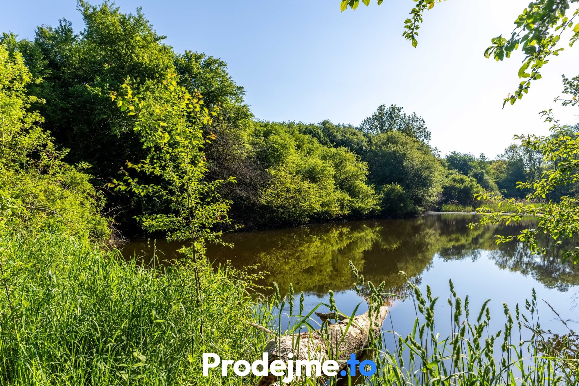 Prodej pozemku 16 909 m2 - Marketa (Písečné)