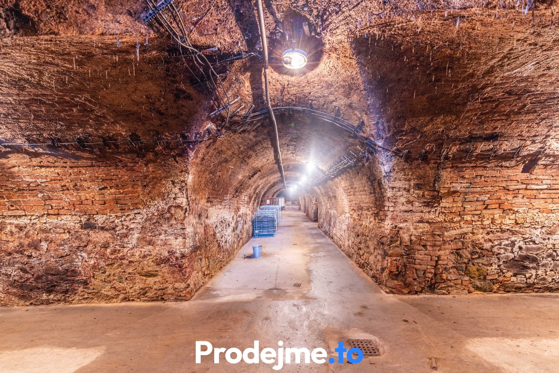 Prodej vinného sklepa 478 m² - Nový Šaldorf-Sedlešovice