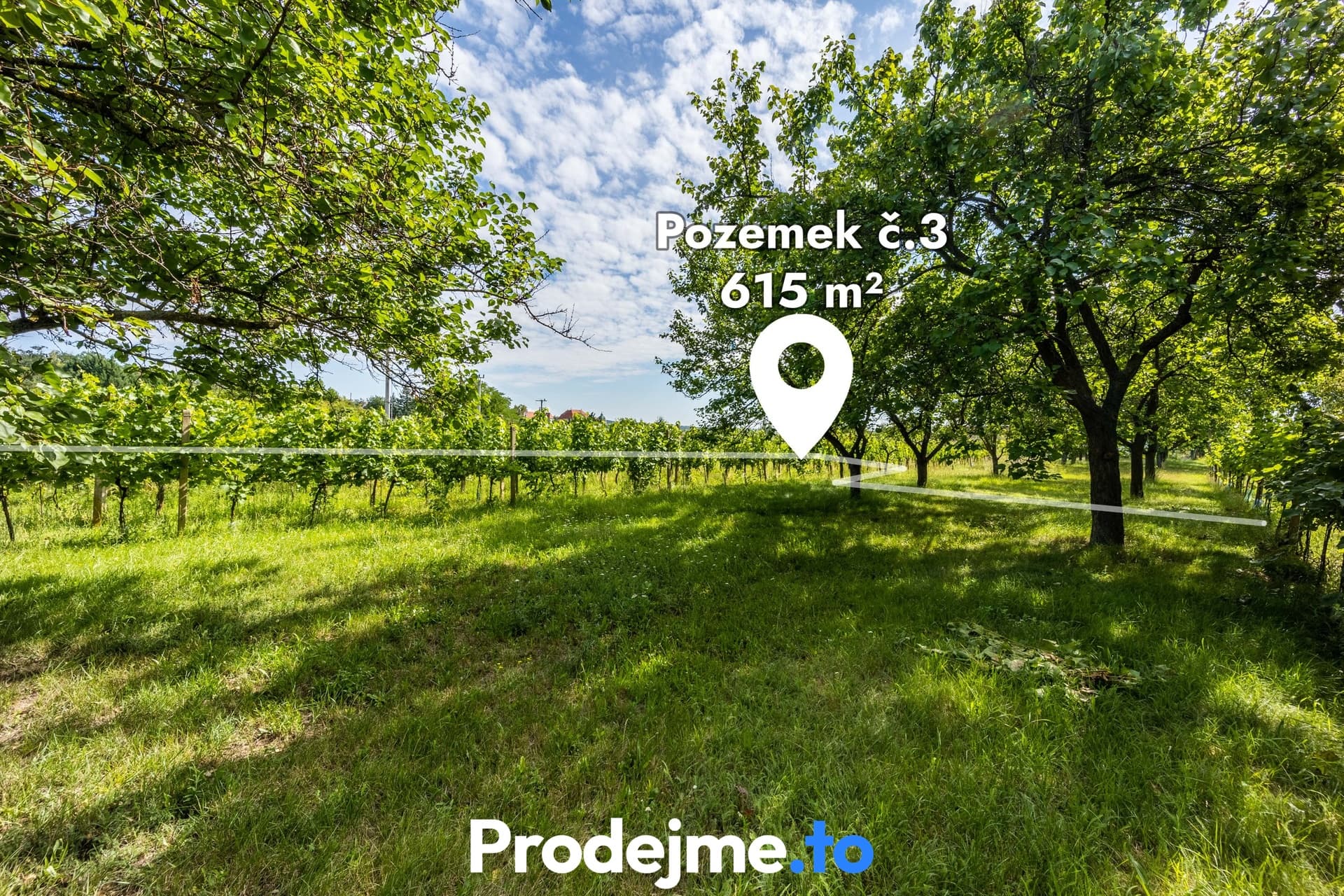 Prodej zahrady č. 3 , Nový Šaldorf-Sedlešovice