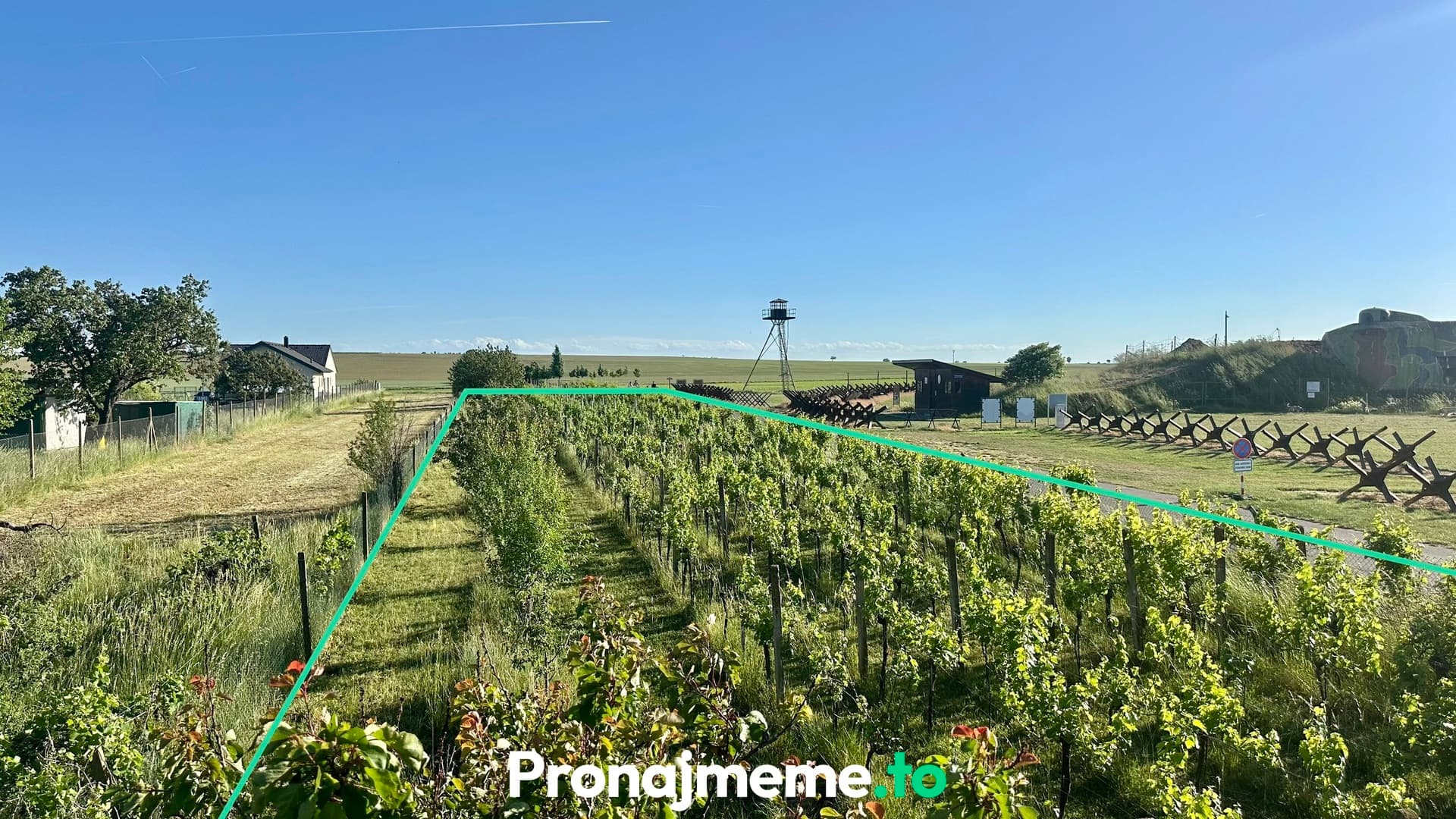 Pronájem vinohradu 1759 m2 - Šatov