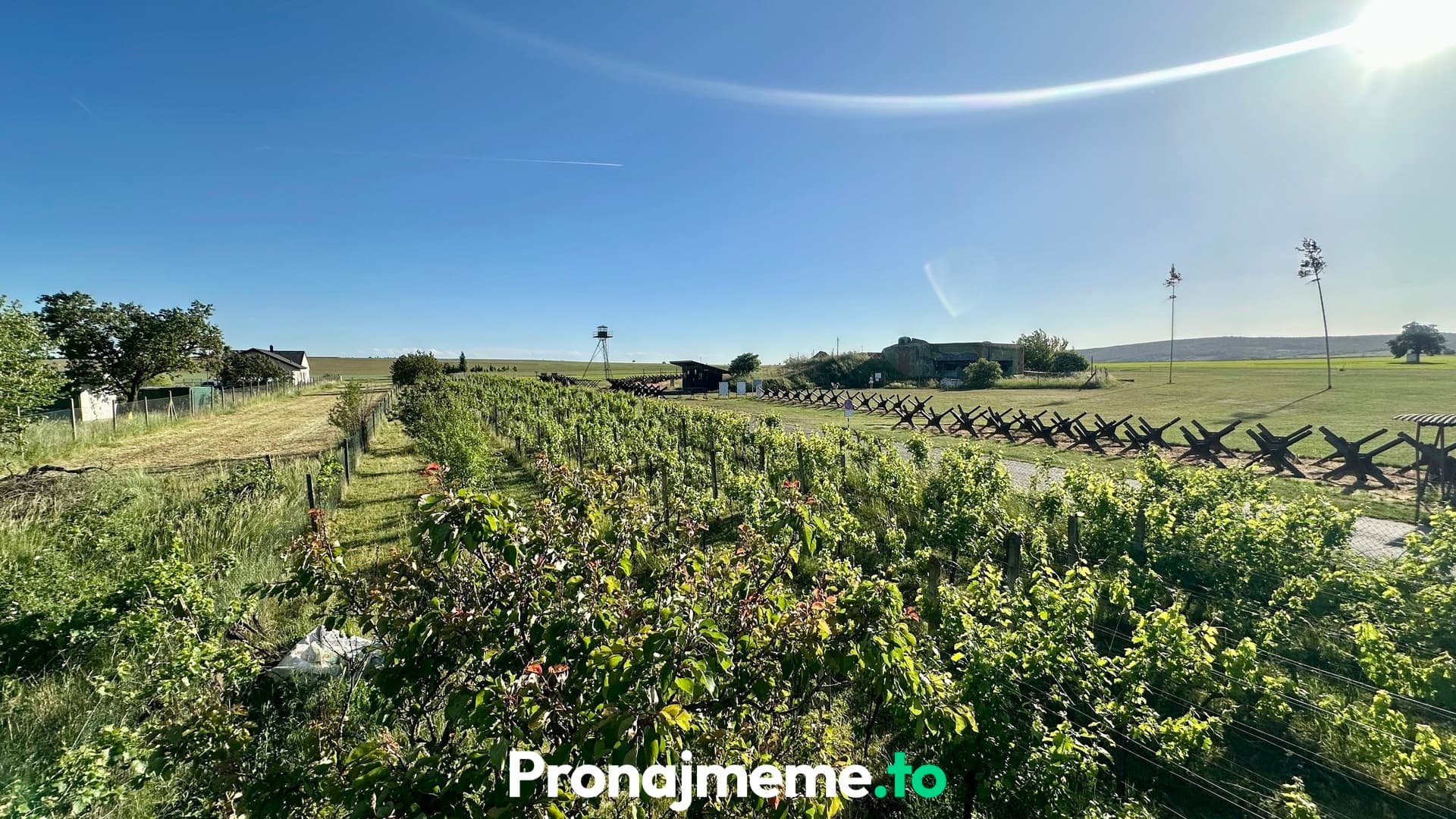 Pronájem vinohradu 1759 m2 - Šatov