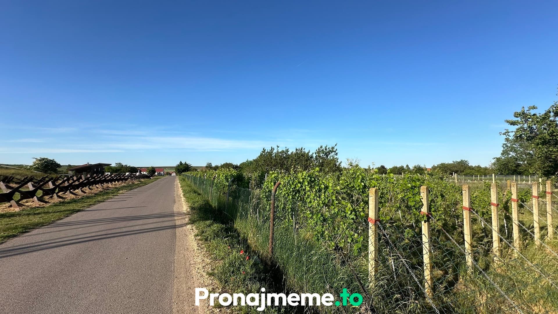 Pronájem vinohradu 1759 m2 - Šatov